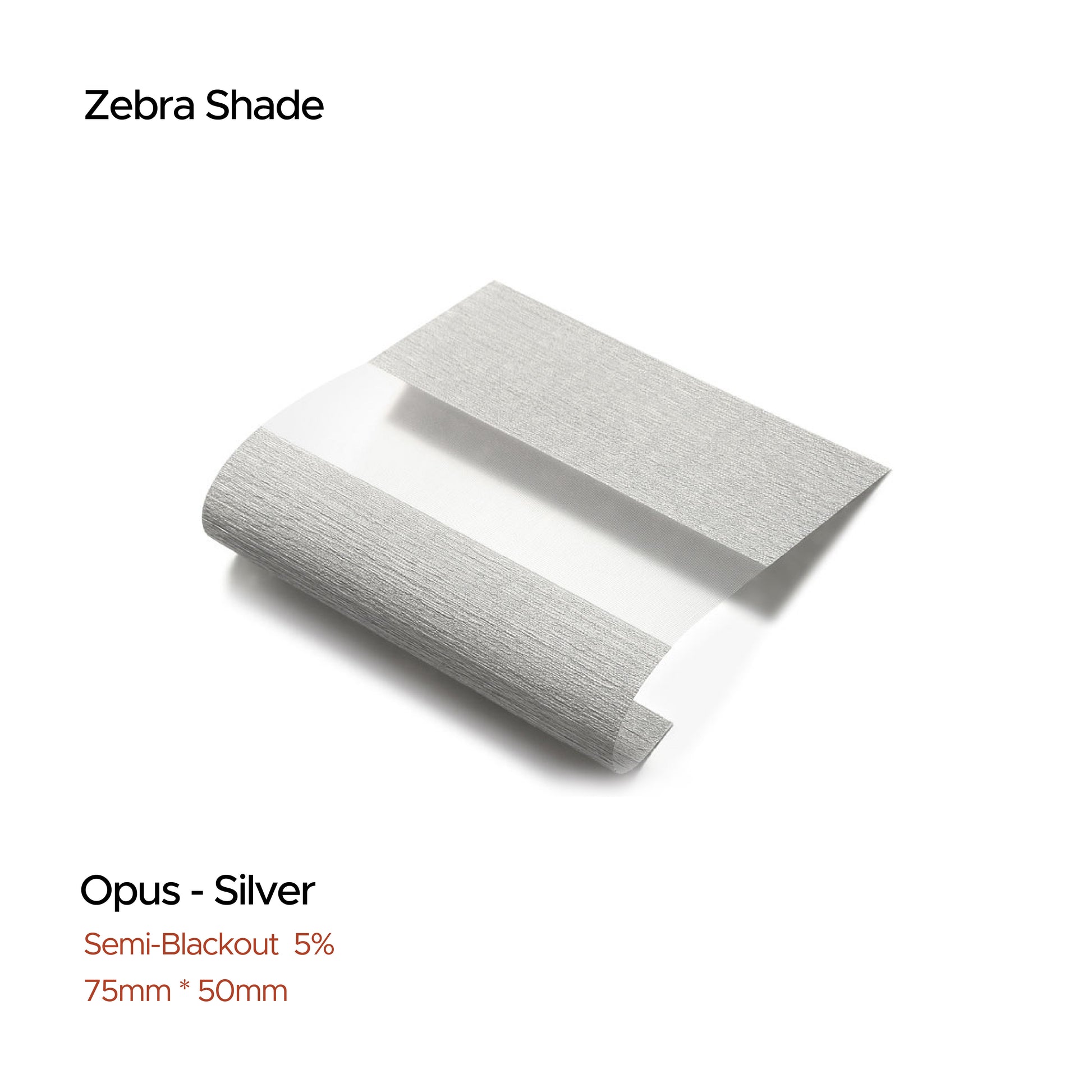 Silver - Shade
