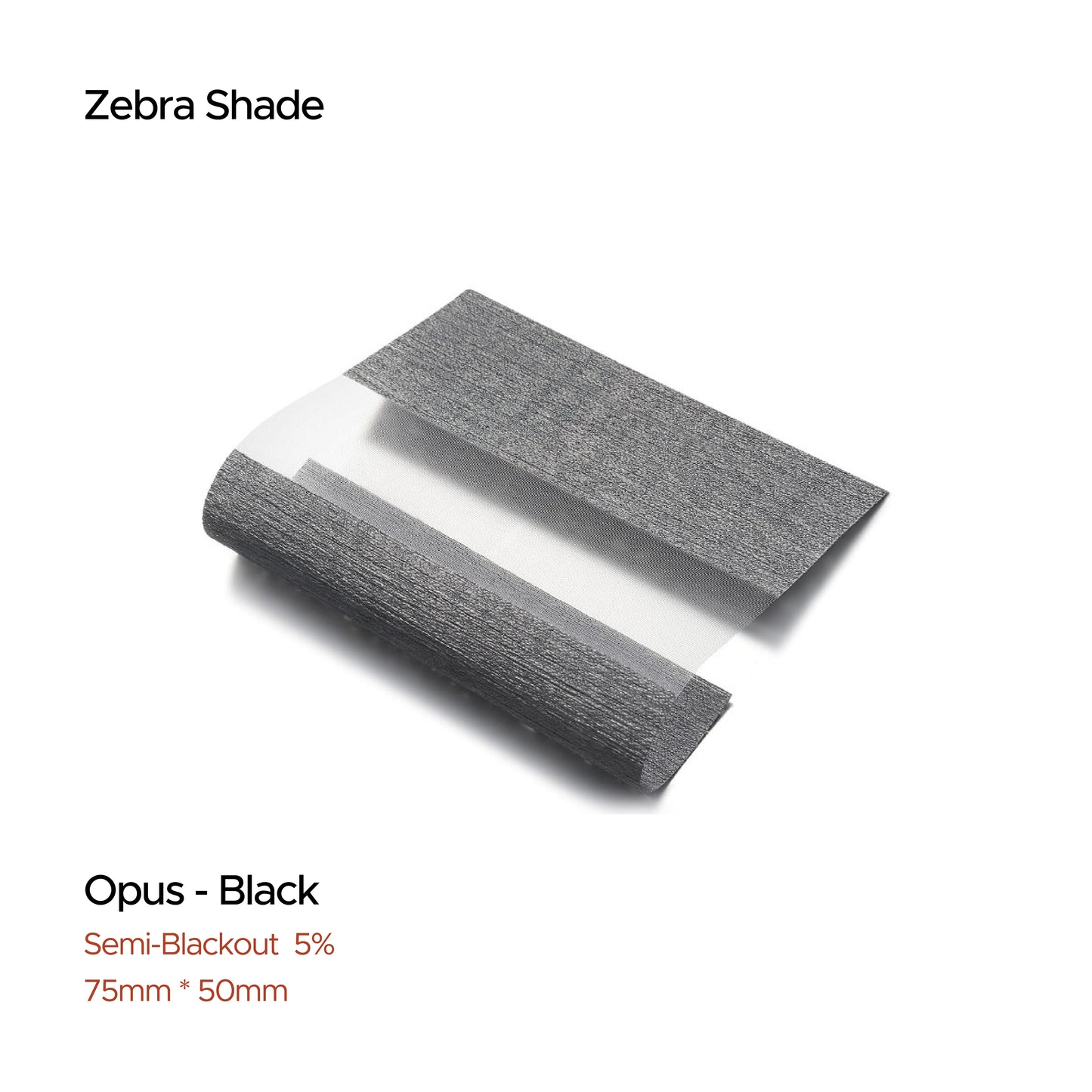 Black - Shade